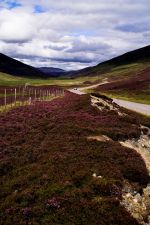 Glen Dee