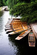 cambridge