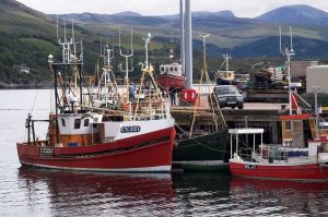 Ullapool Hafen